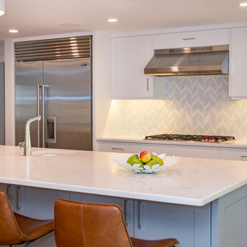 Lexington Transitional Kitchen