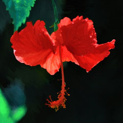Fine Art Photography - Digital paintings - Products