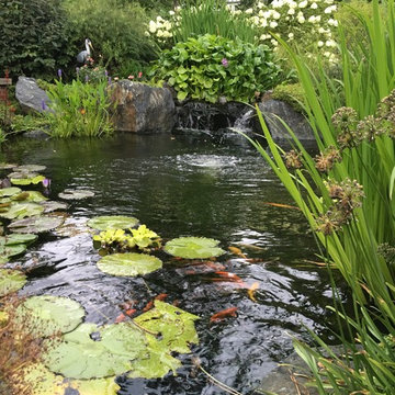 Wheaton Pond