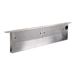 Dacor Epicure 48" Wide Slim Raised Ventilation, Stainless Steel | ERV48ER - Range Hoods And Vents