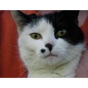 Becca Leavitt's photo