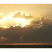 Kelly Downham's photo
