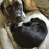 Kelley Cook's photo