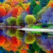 Patti Stahly's photo
