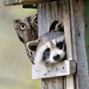 Maria Parfentyeva's photo