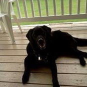 Tessie Fisher Wilson's photo