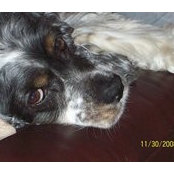 Patricia Torner's photo