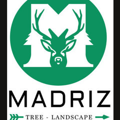 Madriz Tree and Landscape