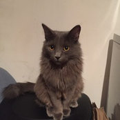 Mike Back's photo
