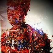 Jarrett Fijal's photo