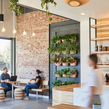 Voyager Craft Coffee: The Alameda