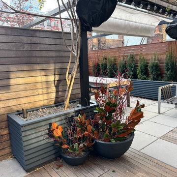 Williamsburg terrace