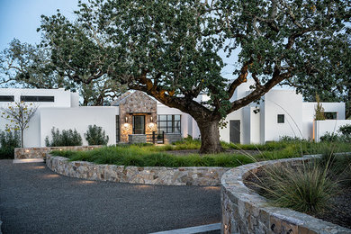 Inspiration for a contemporary garden in San Francisco with a garden path and gravel.