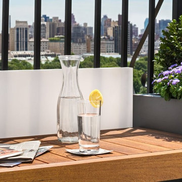 Central Park West Penthouse Terrace