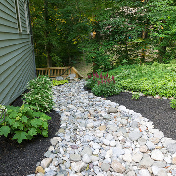 Dry-Creek Riverbed