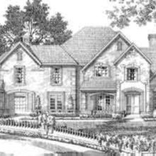 Landscape Ideas
