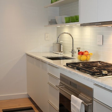 White Galley Kitchen