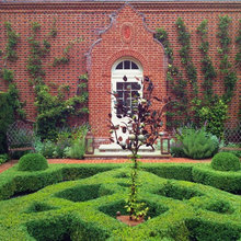 Landscape Ideas