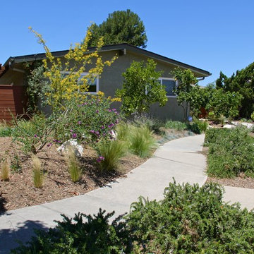 Water Wise Landscape Refresh (Clairemont Mesa)