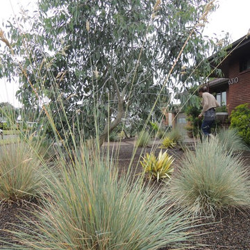Portland Dry Landscape