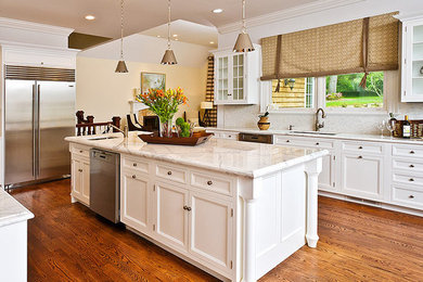 Kitchen - transitional kitchen idea in New York