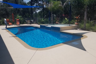 Pool - traditional pool idea in Tampa