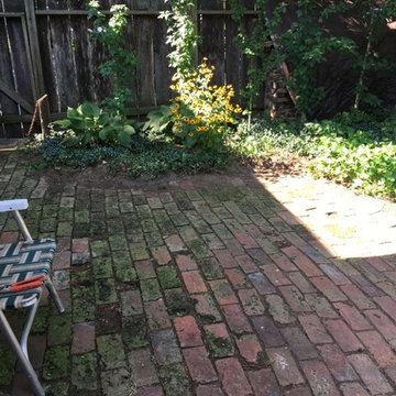In search of the Natural Garden