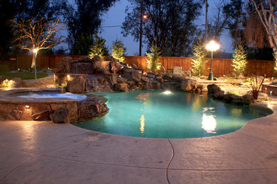 Small eclectic backyard custom-shaped natural pool in Sacramento.