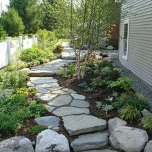 Back Yard/Deck
