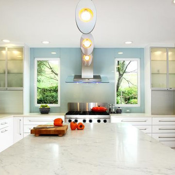 Contemporary Kitchen Cabinets Design Remodel