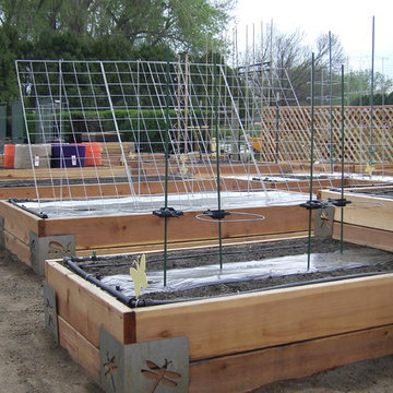 Diane's Garden
