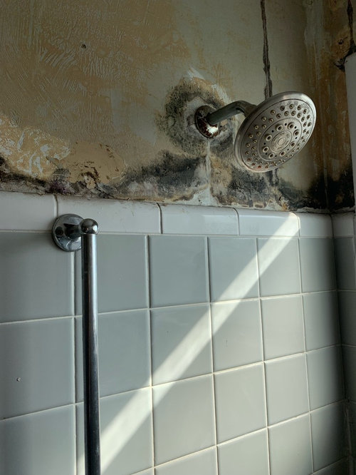HELP moldy shower walls above tile