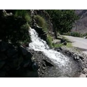 Sameera Usman's photo