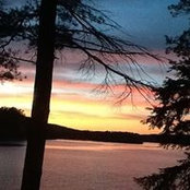 Liz McLaughlin's photo