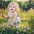 julia_jones9819