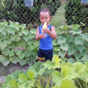 Anne Bonnett's photo