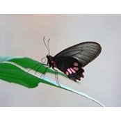 Beth Rossi's photo
