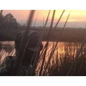 Benjamin Perry's photo