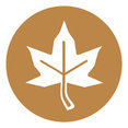 The Cabinet Store's profile photo