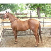 Rancho El Canelo's photo