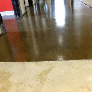 Concrete Polish and Seal