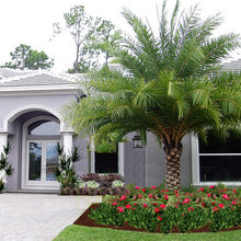 Landscape for home