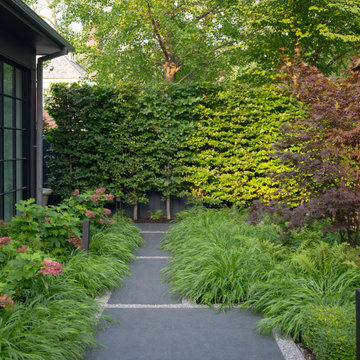 Contemporary Garden