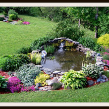 ponds