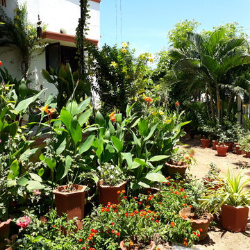TK Farm house