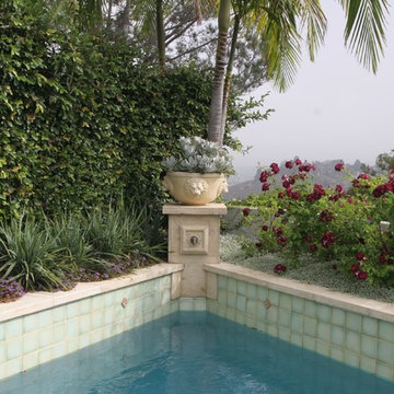 Jenny's Garden