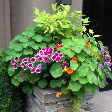 Container Gardens