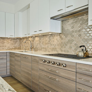 Brookline Condominium Kitchen