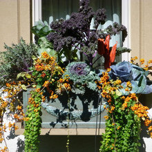 Fall Decorating