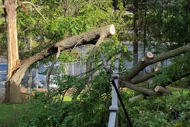 This is an example of a landscaping in Toronto.